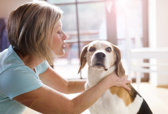 senior-woman-with-her-dog-inside-of-her-house